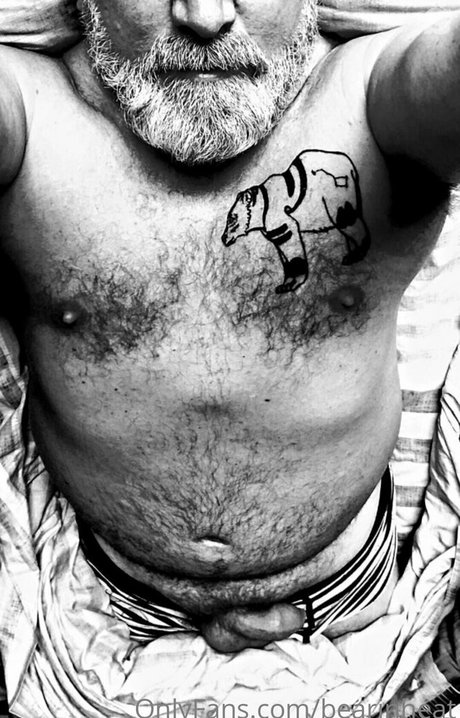 bearinheat model hd pictures