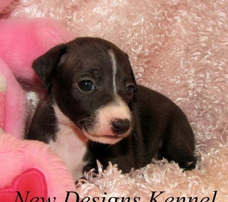 jizzgooglezmfc star porn archive