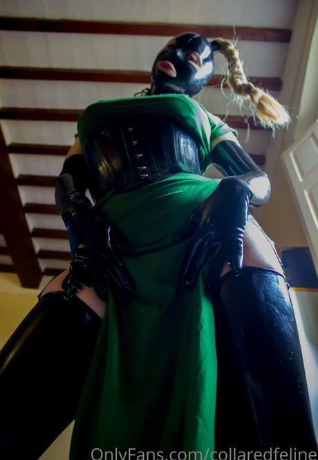 collaredfeline pretty star gallery