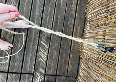 downtherabbithole666 star best pic