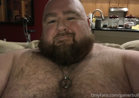 gainerbull Profile pic