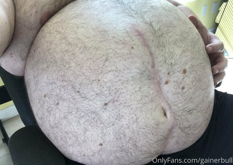 gainerbull model free gallery