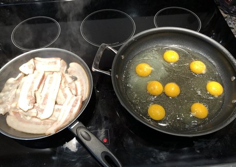 gainerbull star exclusive picture