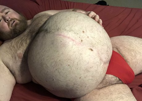 gainerbull beautiful star galleries