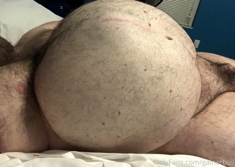 gainerbull star hd photo