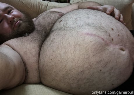 gainerbull star best image