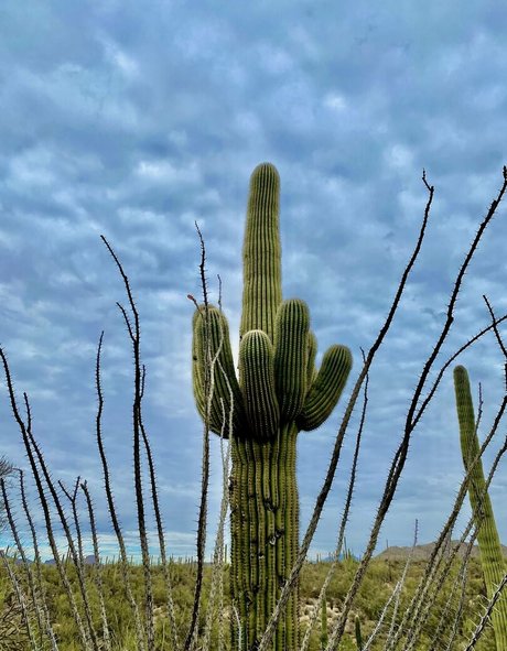 loandthecosmos2 nice model image