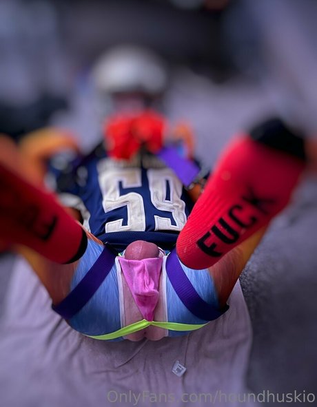 houndhuskio art star pictures