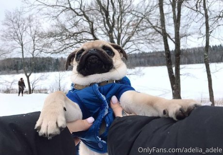 adelia adele best star img