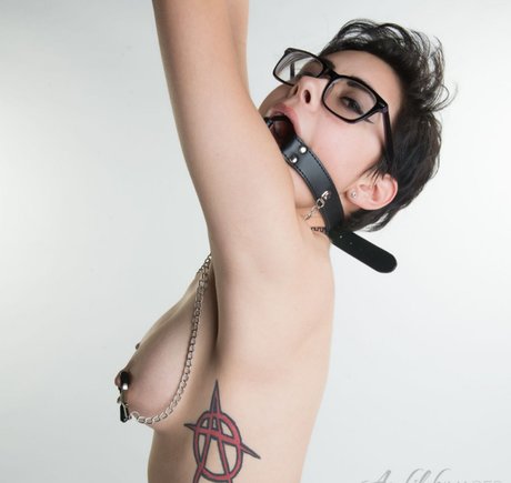 Peyton Rhodes top star picture