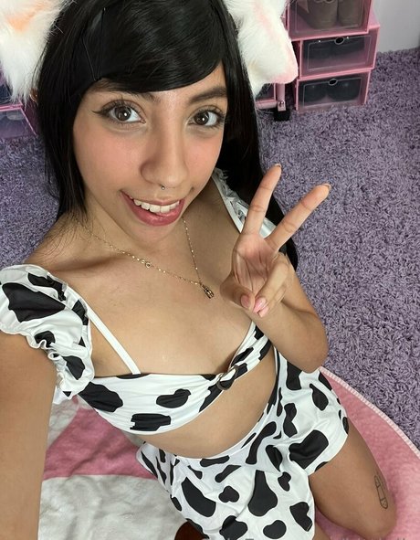 Kittiolic star nice galleries