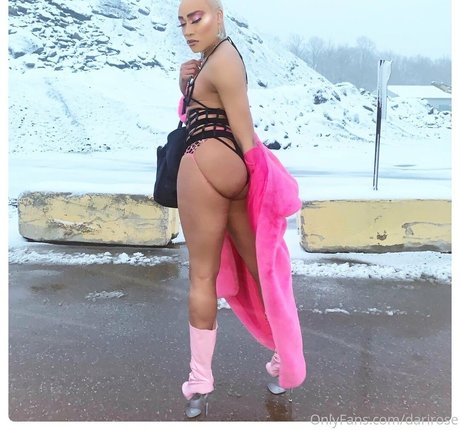darirose adult star pic