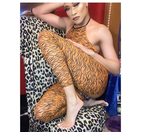 darirose art pornstar picture