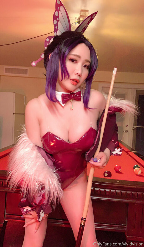 vividvision perfect model gallery