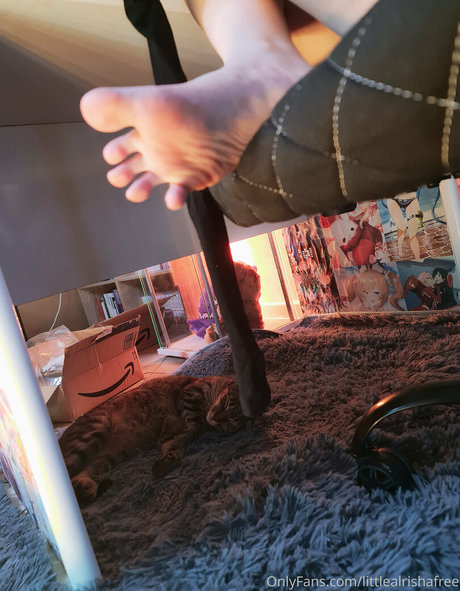 littlealrishafree model hd archive