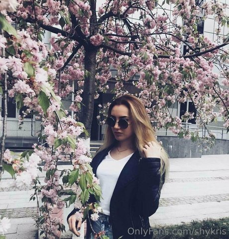 shykris art star pic