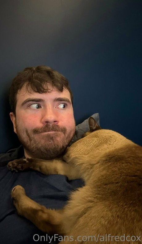 alfredcox pornstar best img