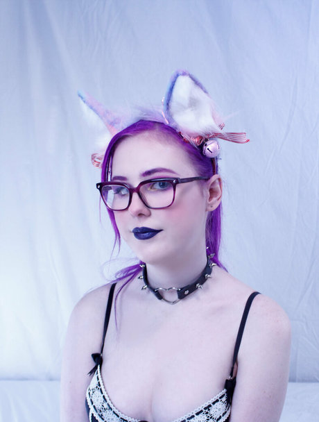 Pinipy high quality star images