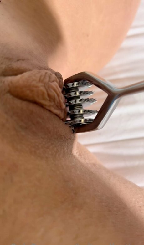 kaitscollection model adult archive