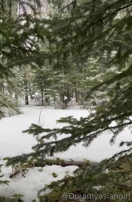 dreamyasiangirlvids star xxx image