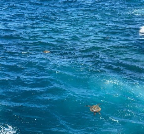 Emiliee Russo sex actress photo