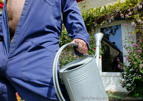 lepamplemousse erotic star photos