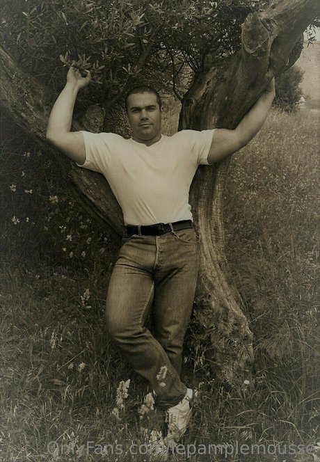 lepamplemousse perfect pornstar img