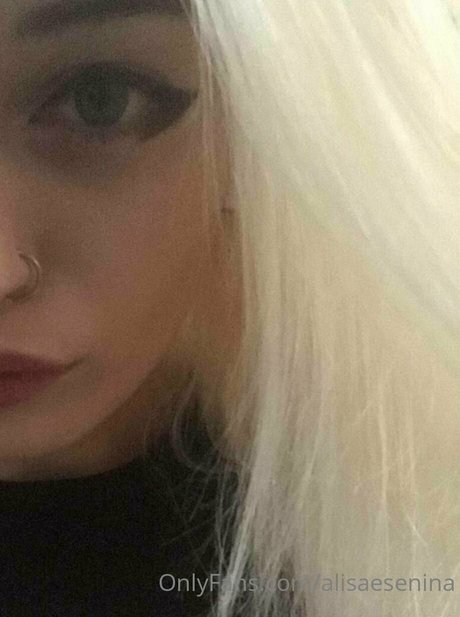 step sisss model galleries