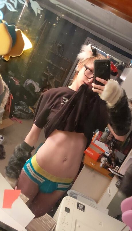 catgod x perfect pornstar photo