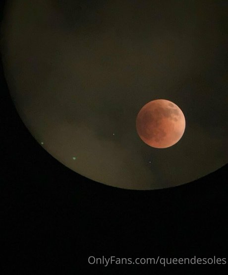 queendesoles star gallery