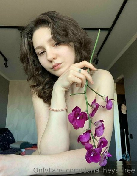 daria heys free model perfect pictures