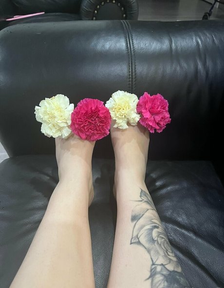 acebosswoman adult actress galleries