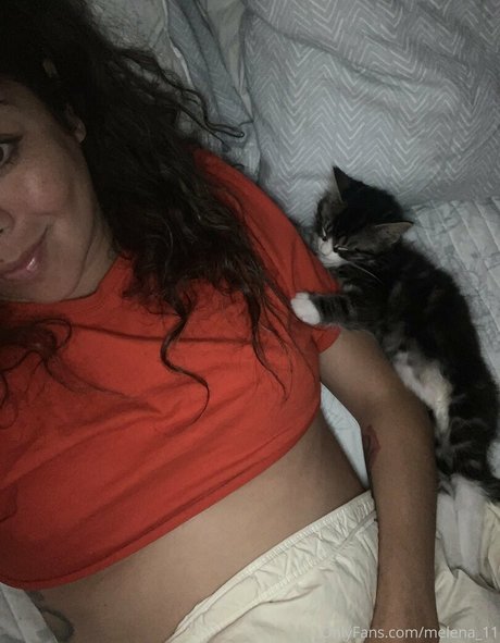 melena 11 star art pictures