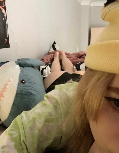 Lorinefairy star high quality img