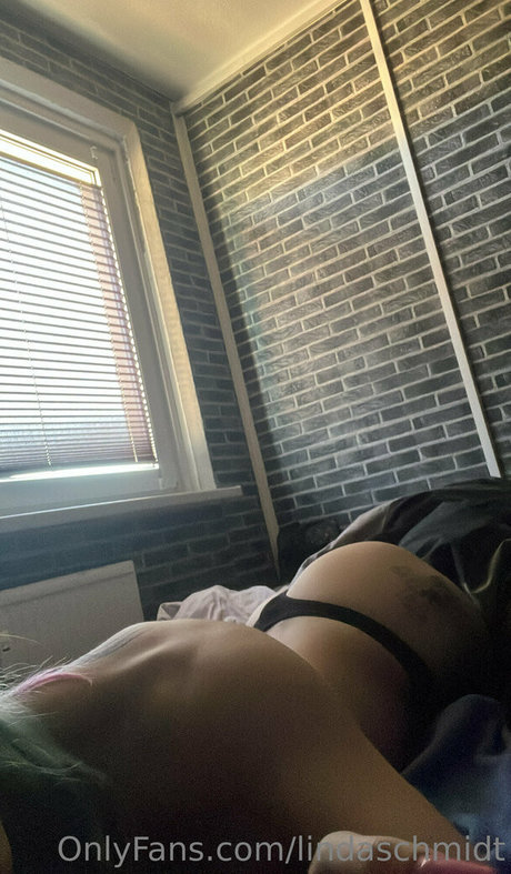 lindaschmidt star pornographic img