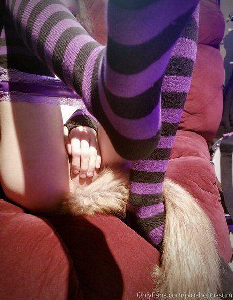 plushopossum star art galleries