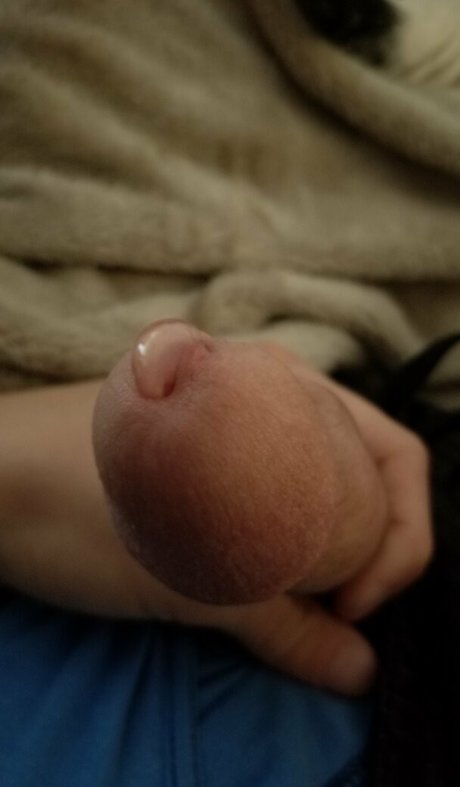 plushopossum star hot pic