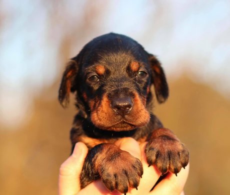 kristenhughey model image