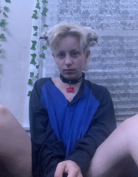 arsonistdreams star hd image