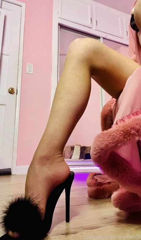 mamafiona1 best pornstar pic