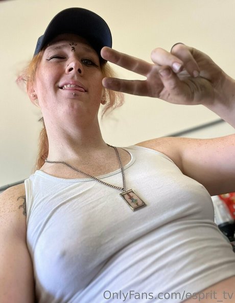 esprit tv model high quality picture