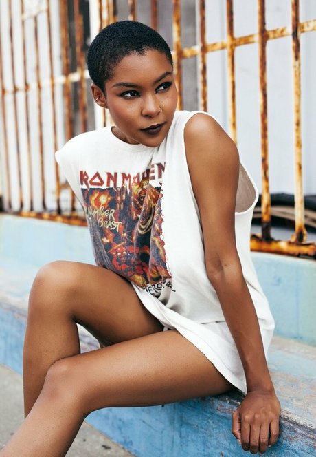 Pumkinwu model hd image