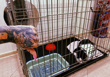 annabatman xxx actress picture