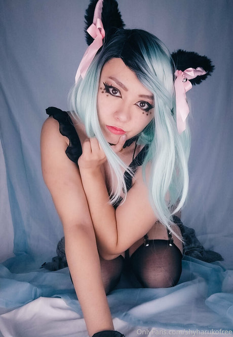 shyharukofree high quality model galleries