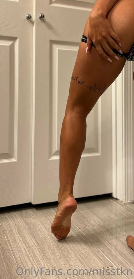 misstkn model top image