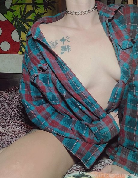 fcassibreee pretty star archive