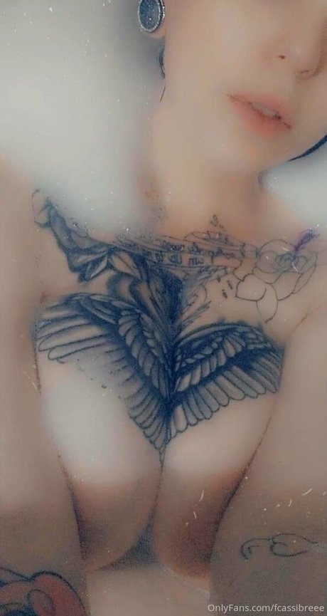 fcassibreee beautiful star gallery