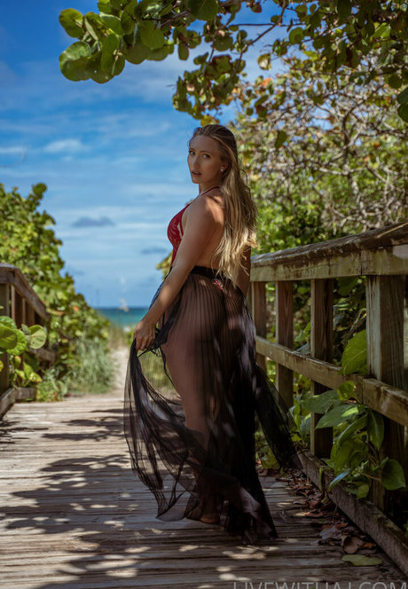 ajapplegatevip sex pornstar photo