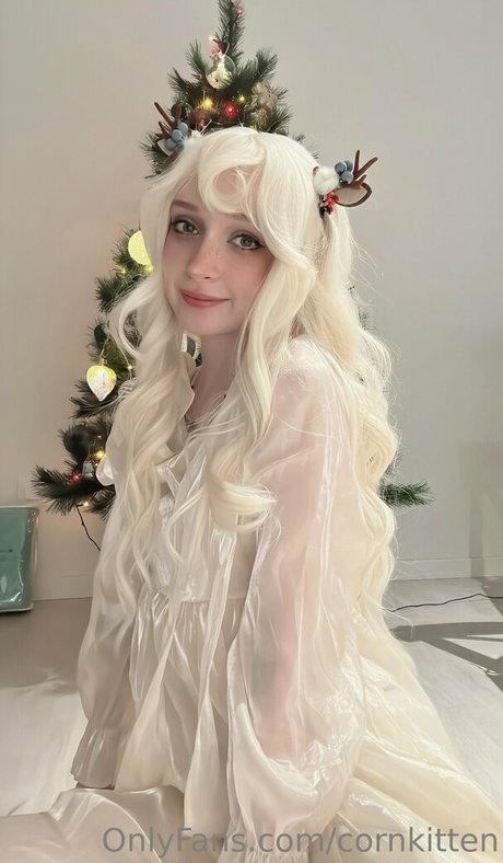 cornkitten model image