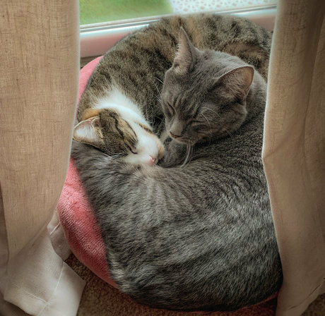 petite ebony onlyfans sexy xxx picture